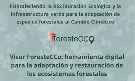 Visor FoRestECCo · Seminario web 21 octubre 2025